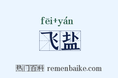 飞盐是什么意思的图片